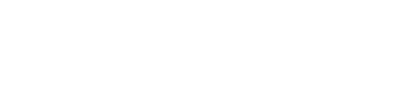 Plan de Emprego Local 2019